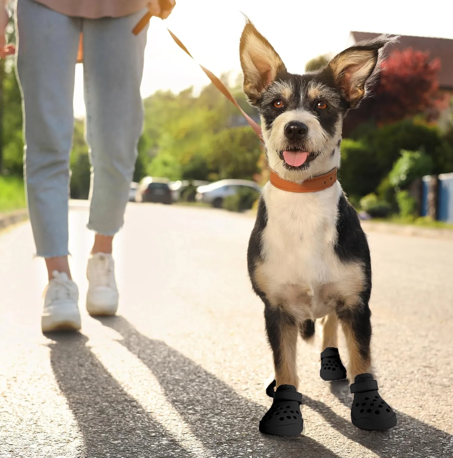 Dog Shoes: Non-Slip Waterproof Sandals for Hot Pavement & Winter, Breathable Perforated Boots, Large/Medium/Small Sizes, Ideal Paw Protector, Outdoor Clog Booties (Black, Size 3: (2.24x1.85)(L*W))