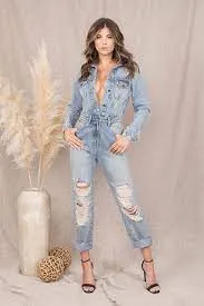 The Presley Denim Jumpsuit